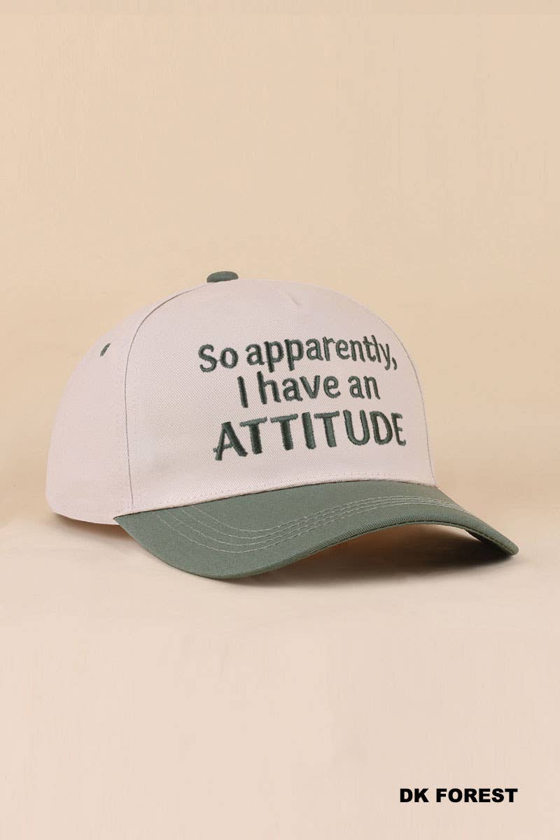 Two Tone Snapback Hat : CAMO-198865 / OS