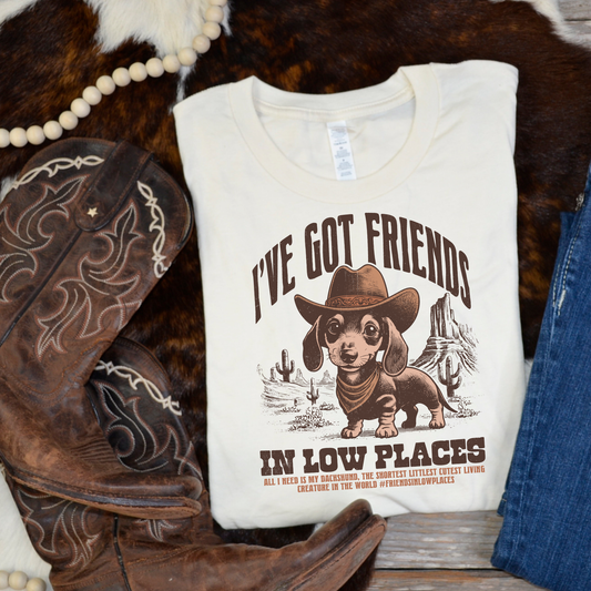 I’ve got friends in low places tee: M