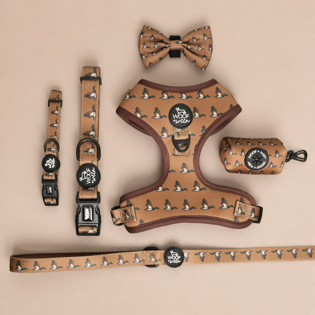 Dog Collar - Duck Hunting Dog: S (11-16 inch)