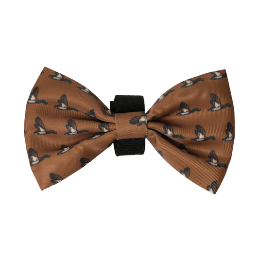 Bow - Duck Hunting Dog